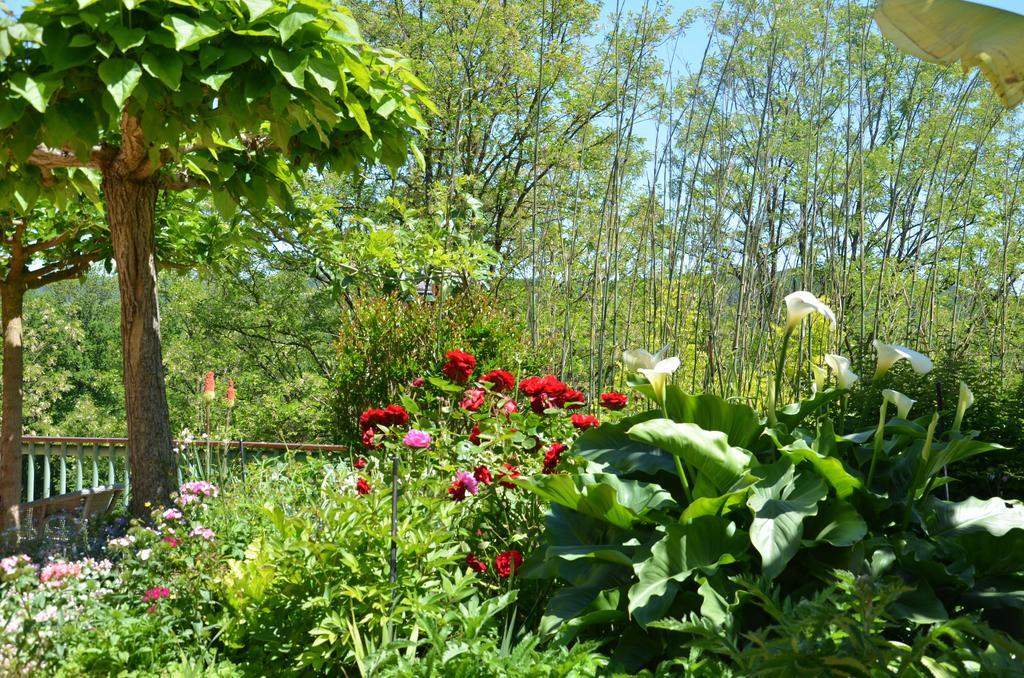La Gueriniere Bed and Breakfast Cénac-et-Saint-Julien Buitenkant foto