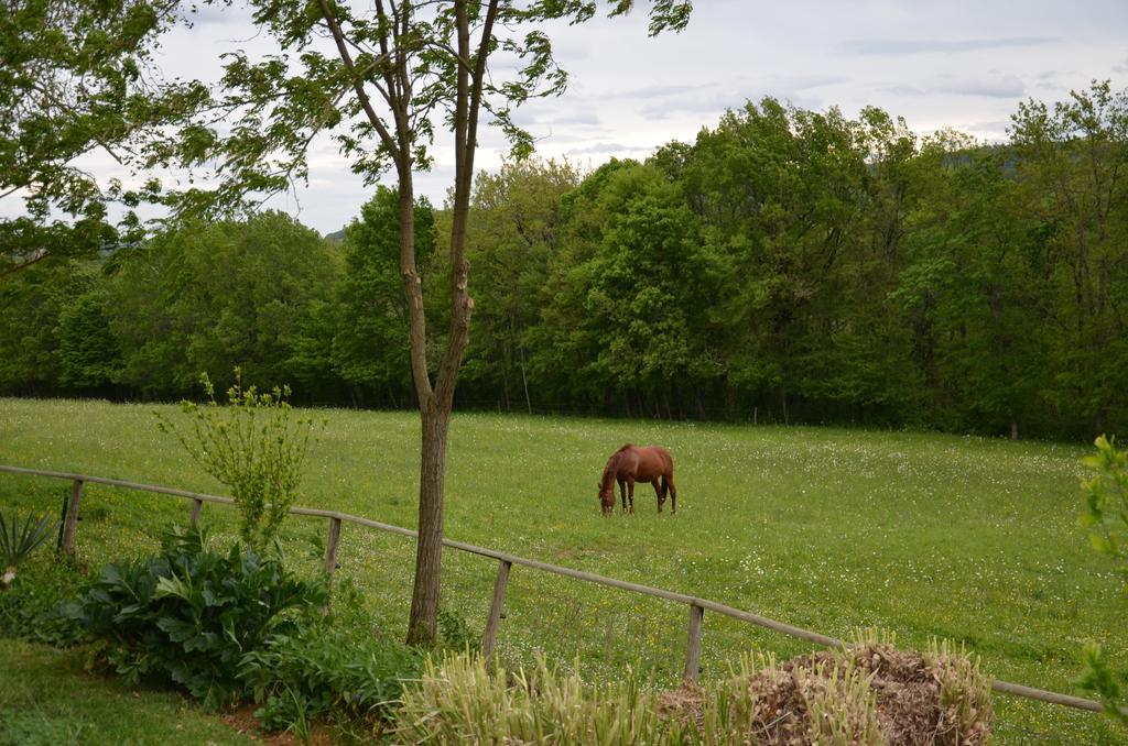 La Gueriniere Bed and Breakfast Cénac-et-Saint-Julien Buitenkant foto