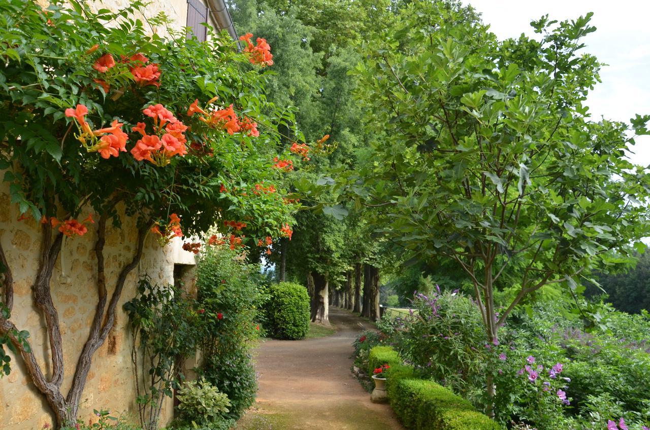 La Gueriniere Bed and Breakfast Cénac-et-Saint-Julien Buitenkant foto